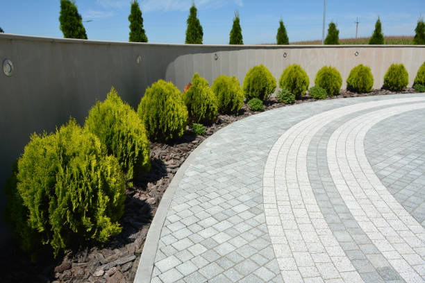 Reasons to Select Us for Your Driveway Paving Requirements in Fountainebleau, FL